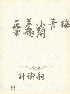 反差小青梅小说笔趣阁