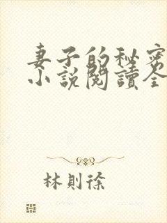 妻子的秘密吴双小说阅读全文