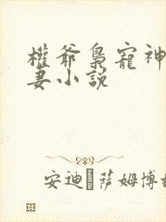 权爷枭宠神秘娇妻小说封面