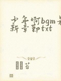少年啊bgm最新章节txt