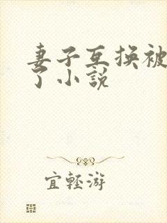妻子互换被高潮了小说
