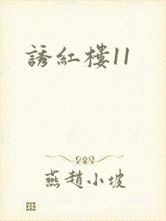 诱红楼11