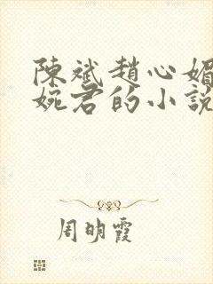 陈斌赵心媚和高婉君的小说封面