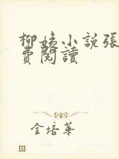 柳姨小说张浩免费阅读