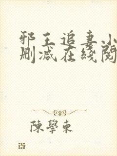 邪王追妻小说无删减在线阅读封面