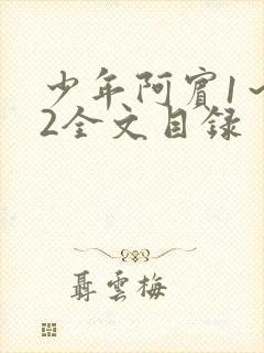 少年阿宾1～72全文目录
