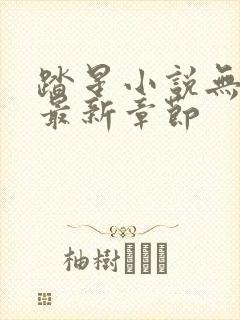 踏星小说无弹窗最新章节