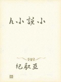 h小说小