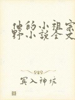 他的小祖宗甜又野小说全文免费阅读