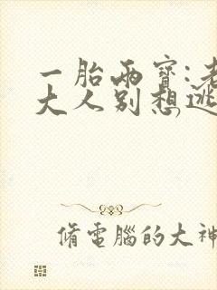 一胎两宝:老婆大人别想逃