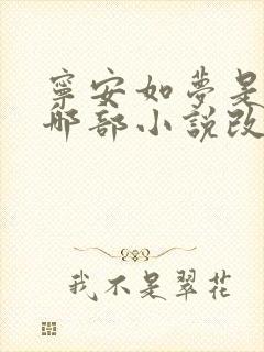 宁安如梦是根据哪部小说改编的