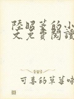 陆昭菱的小说全文免费阅读
