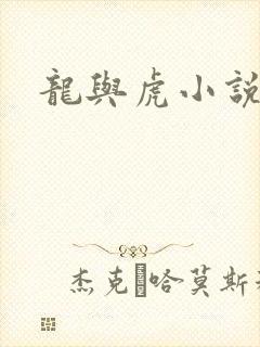 龙与虎小说封面