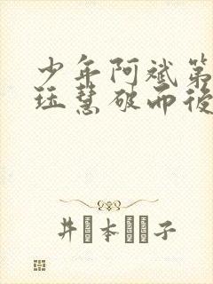 少年阿斌第二部珏慧破而后立封面