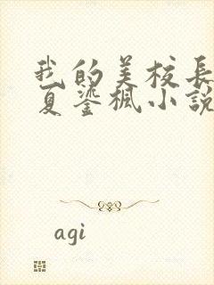 我的美校长妈妈夏鎏枫小说