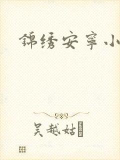 锦绣安宁小说