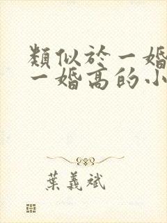 类似于一婚还比一婚高的小说推荐
