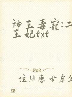 神王毒宠:二嫁王妃txt