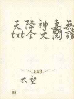 天降神妻无删减txt全文阅读下载