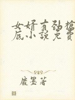 女婿有劲枪枪到底小说免费看封面