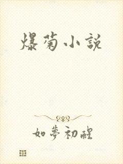 爆菊小说
