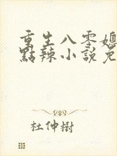 重生八零媳妇有点辣小说免费阅读