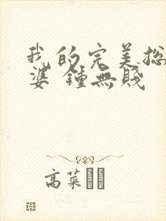 我的完美总裁老婆 钟无贱