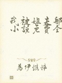 我被姐夫那些年小说免费全文阅读