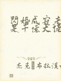 闪婚成宠老公竟是千亿大佬短剧封面