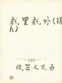戏里戏外(现场h)