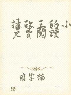 摄政王的小奶娘免费阅读