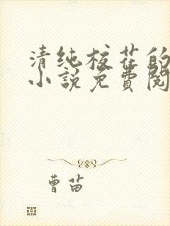 清纯校花的秘密小说免费阅读封面