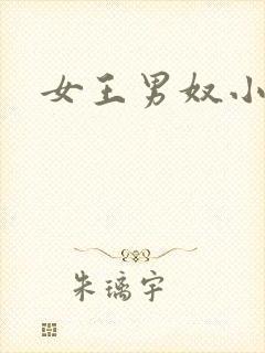 女王男奴小说