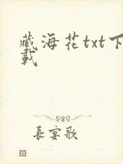 藏海花txt下载封面