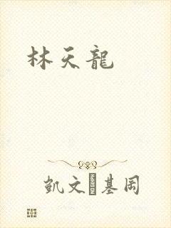林天龙