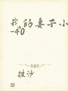 我的妻子小谨1-40
