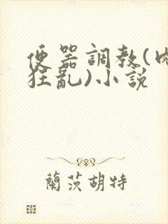 便器调教(肉体狂乱)小说封面