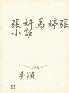 张妍马婷张伟的小说封面
