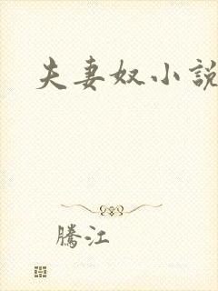 夫妻奴小说