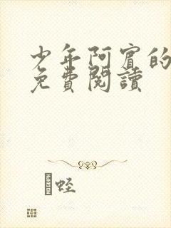 少年阿宾的小说免费阅读