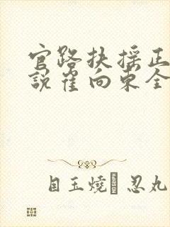 官路扶摇正版小说崔向东全文阅读
