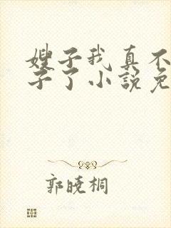 嫂子我真不是傻子了小说免费阅读全文无窗口封面