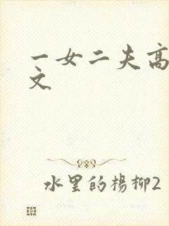 一女二夫高h爽文