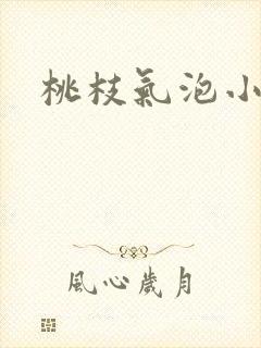 桃枝气泡小说