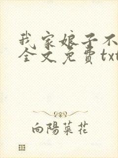 我家娘子不对劲全文免费txt下载