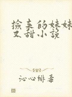 捡来的妹妹又软又甜小说