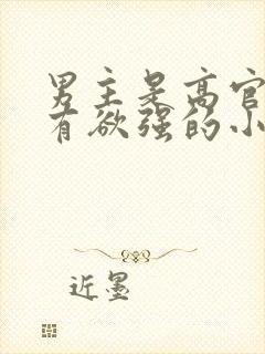 男主是高官且占有欲强的小说