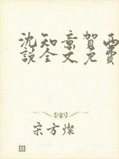 沈知意贺西洲小说全文免费阅读
