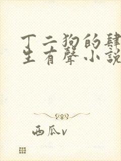 丁二狗的肆意人生有声小说