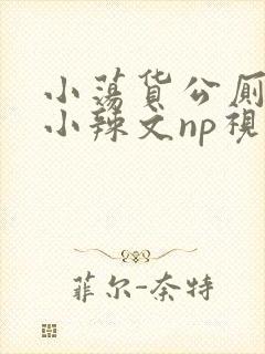 小荡货公厕h文小辣文np视频